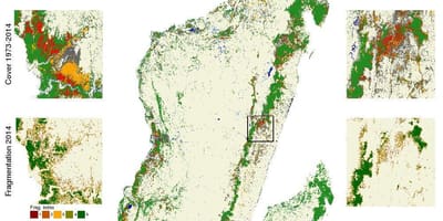 Kartta Madagaskarin metsien