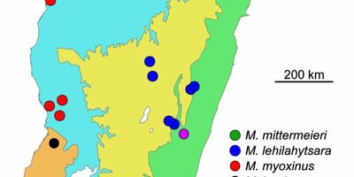 Kartta Madagaskarin sademetsän